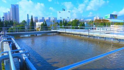 保山市打好東河流域水污染治理組合拳